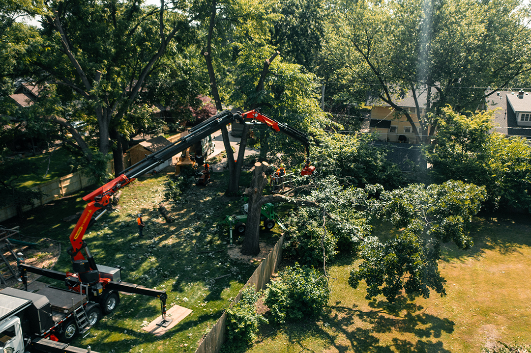 Tree Removal Services in Des Moines, IA: Preserving Nature with TreeHugger Complete Tree Care