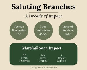 saluting branches a decade of impact